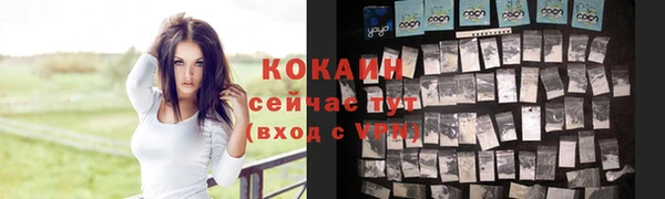 хмурый Богородицк
