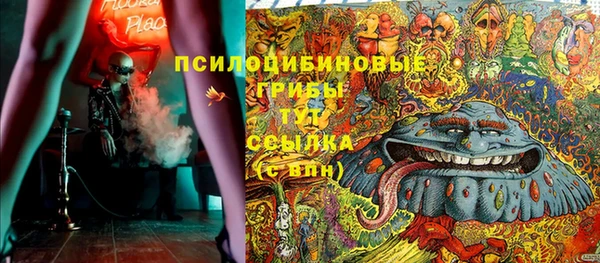 хмурый Богородицк