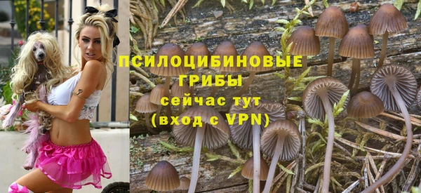 герыч Богородск