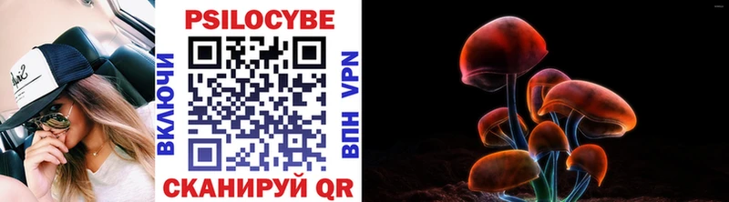 цены   Великий Новгород  Псилоцибиновые грибы мухоморы 