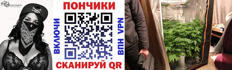 Марихуана сатива  Великий Новгород 
